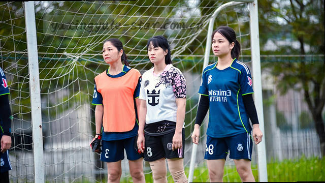 球场数据 实时比分看板