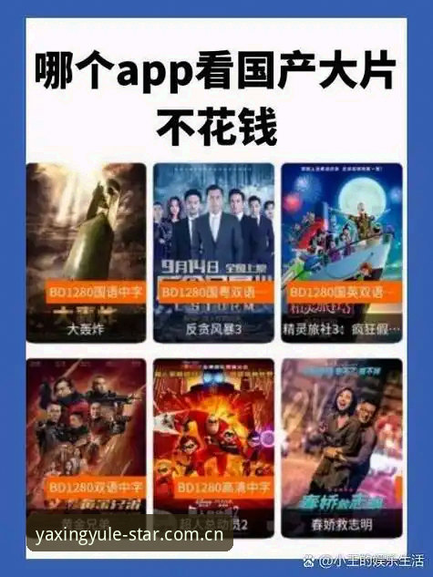 亚星娱乐APP数据对比攻略：先看延迟，再谈体验